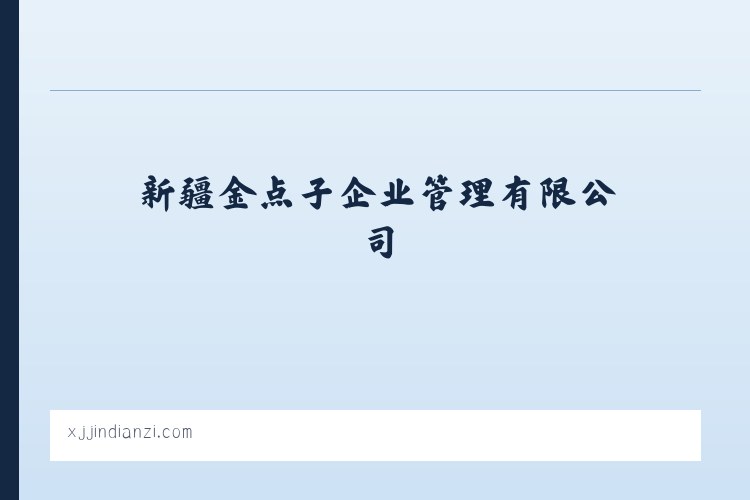 新疆金点子企业管理有限公司 列表图